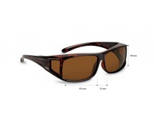 ΣΚΕΛΕΤΟΣ ΠΡΟΣΘΕΤΟ ΗΛΙΟΥ ΤΕΤΡΑΓΩΝΟΣ/ΤΑΡΤΑΡΟΥΓΑ