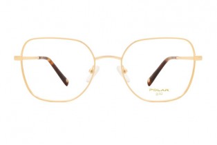 ΣΚΕΛΕΤΟΣ ΟΡΑΣΕΩΣ POLAR ΜΟΝΤΕΛΟ GOLD 2003 col 02 ΣΚΕΛΕΤΟΣ ΟΡΑΣΕΩΣ POLAR ΜΟΝΤΕΛΟ GOLD 2003 col 02