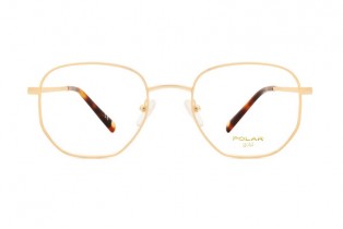 ΣΚΕΛΕΤΟΣ ΟΡΑΣΕΩΣ POLAR ΜΟΝΤΕΛΟ GOLD 2005 col 02 ΣΚΕΛΕΤΟΣ ΟΡΑΣΕΩΣ POLAR ΜΟΝΤΕΛΟ GOLD 2005 col 02