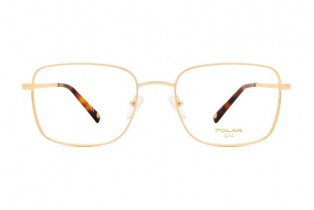 ΣΚΕΛΕΤΟΣ ΟΡΑΣΕΩΣ POLAR ΜΟΝΤΕΛΟ GOLD 2006 col 02 ΣΚΕΛΕΤΟΣ ΟΡΑΣΕΩΣ POLAR ΜΟΝΤΕΛΟ GOLD 2006 col 02