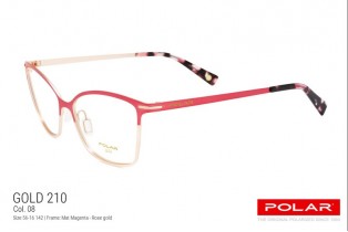 ΣΚΕΛΕΤΟΣ ΟΡΑΣΕΩΣ ΑΤΣΑΛΙΝΟΣ POLAR ΜΟΝΤΕΛΟ GOLD 210 col 08 ΣΚΕΛΕΤΟΣ ΟΡΑΣΕΩΣ ΑΤΣΑΛΙΝΟΣ POLAR ΜΟΝΤΕΛΟ GOLD 210 col 08