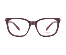 ΣΚΕΛΕΤΟΣ ΟΡΑΣΕΩΣ POLAR MONΤΕΛΟ GOLD 1029 col. 08