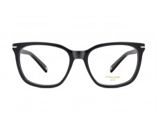 ΣΚΕΛΕΤΟΣ ΟΡΑΣΕΩΣ POLAR MONΤΕΛΟ GOLD 1029 col. 77