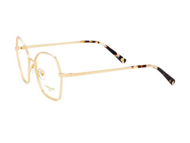 ΣΚΕΛΕΤΟΣ ΟΡΑΣΕΩΣ POLAR MONΤΕΛΟ GOLD 2009 col. 02