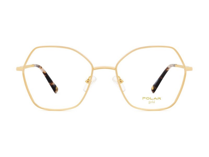 ΣΚΕΛΕΤΟΣ ΟΡΑΣΕΩΣ POLAR MONΤΕΛΟ GOLD 2009 col. 02