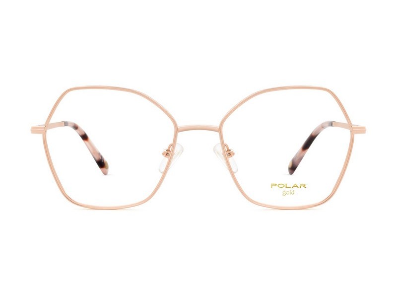 ΣΚΕΛΕΤΟΣ ΟΡΑΣΕΩΣ POLAR MONΤΕΛΟ GOLD 2009 col. 08