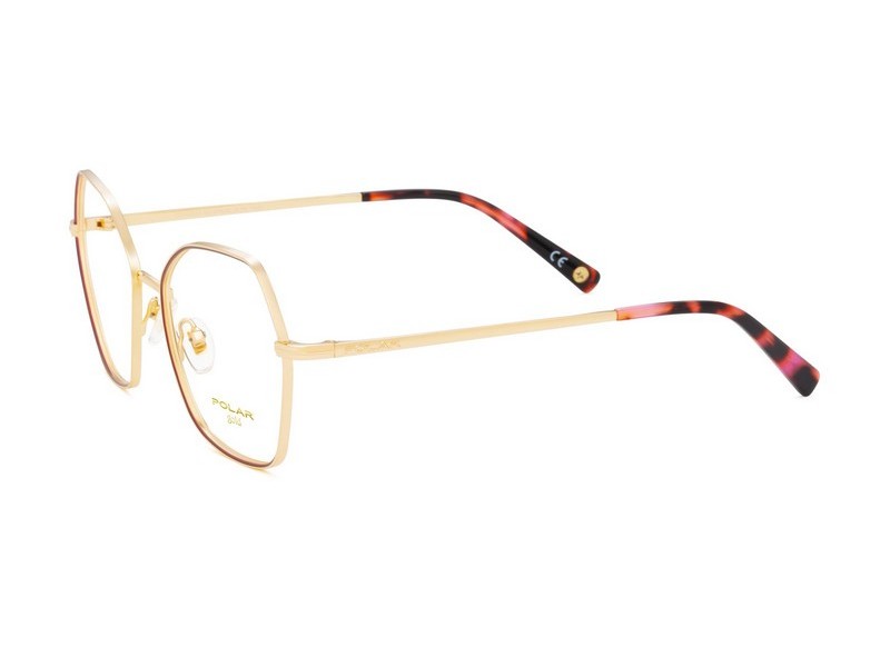 ΣΚΕΛΕΤΟΣ ΟΡΑΣΕΩΣ POLAR MONΤΕΛΟ GOLD 2009 col. 22