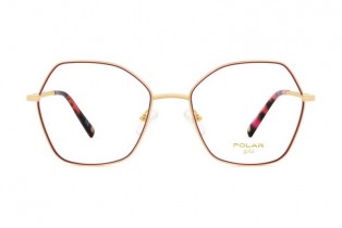 ΣΚΕΛΕΤΟΣ ΟΡΑΣΕΩΣ POLAR MONΤΕΛΟ GOLD 2009 col. 22 ΣΚΕΛΕΤΟΣ ΟΡΑΣΕΩΣ POLAR MONΤΕΛΟ GOLD 2009 col. 22