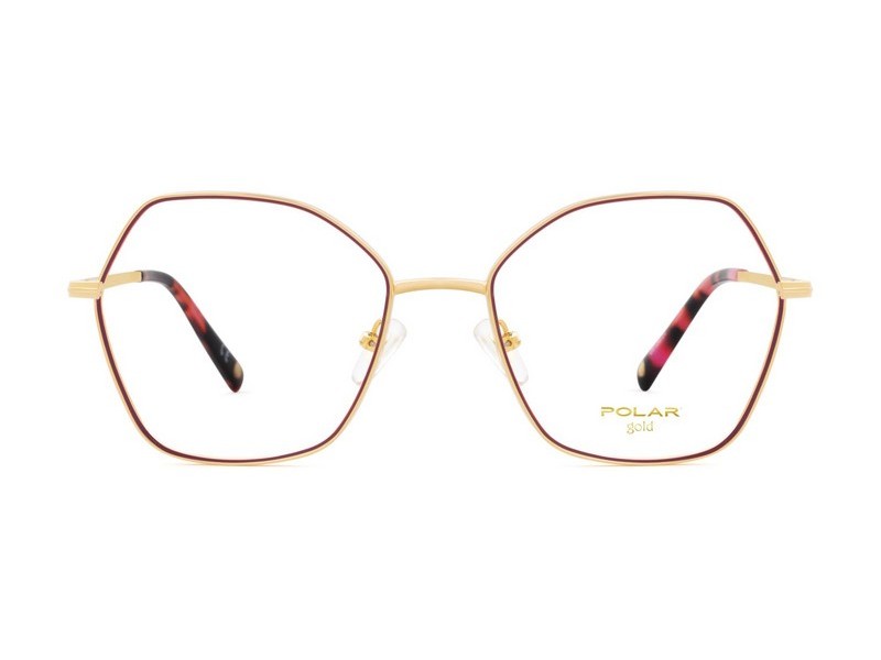 ΣΚΕΛΕΤΟΣ ΟΡΑΣΕΩΣ POLAR MONΤΕΛΟ GOLD 2009 col. 22