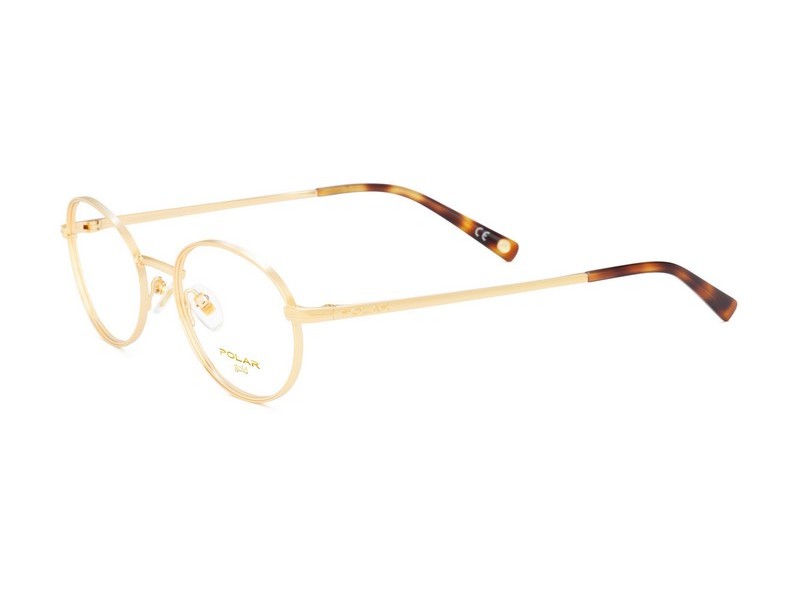 ΣΚΕΛΕΤΟΣ ΟΡΑΣΕΩΣ POLAR MONΤΕΛΟ GOLD 2010 col. 02