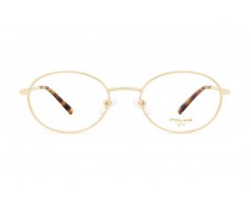 ΣΚΕΛΕΤΟΣ ΟΡΑΣΕΩΣ POLAR MONΤΕΛΟ GOLD 2010 col. 02