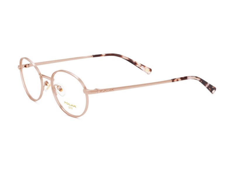 ΣΚΕΛΕΤΟΣ ΟΡΑΣΕΩΣ POLAR MONΤΕΛΟ GOLD 2010 col. 08