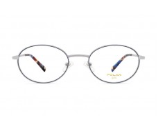 ΣΚΕΛΕΤΟΣ ΟΡΑΣΕΩΣ POLAR MONΤΕΛΟ GOLD 2010 col. 20