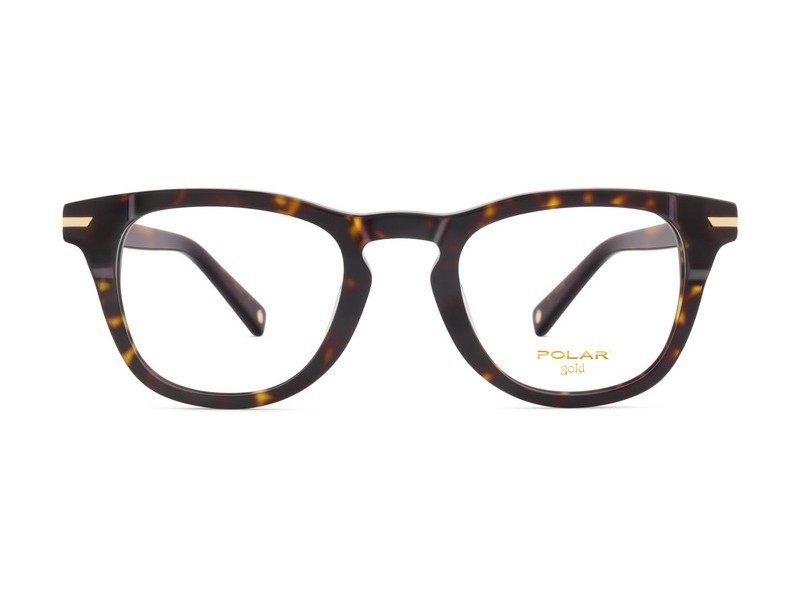 ΣΚΕΛΕΤΟΣ ΟΡΑΣΕΩΣ POLAR MONΤΕΛΟ GOLD PEGASO col. 428