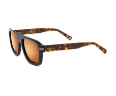 ΓΥΑΛΙΑ ΗΛΙΟΥ POLAR ΜΟΝΤΕΛΟ GOLD 3027 col. 480