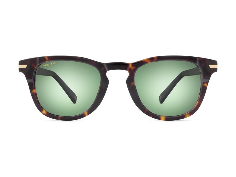 ΓΥΑΛΙΑ ΗΛΙΟΥ POLAR ΜΟΝΤΕΛΟ GOLD PEGASO col. 428