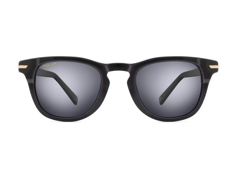 ΓΥΑΛΙΑ ΗΛΙΟΥ POLAR ΜΟΝΤΕΛΟ GOLD PEGASO col. 77