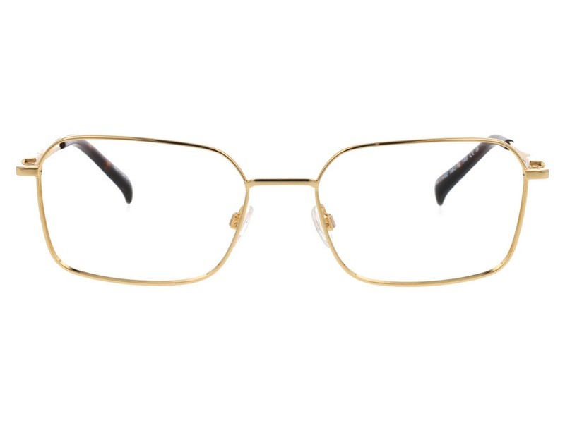 ΣΚΕΛΕΤΟΣ ΟΡΑΣΕΩΣ  REPLAY  ΜΟΝΤΕΛΟ A13V col. 02