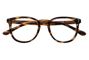 ΓΥΑΛΙΑ ΠΡΕΣΒΥΩΠΙΑΣ ΠΛΑΣΤΙΚΟ ΜΟΝΤΕΛΟ ROBIN