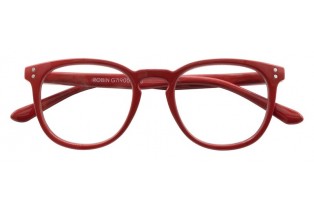 ΓΥΑΛΙΑ ΠΡΕΣΒΥΩΠΙΑΣ ΠΛΑΣΤΙΚΟ ΜΟΝΤΕΛΟ ROBIN