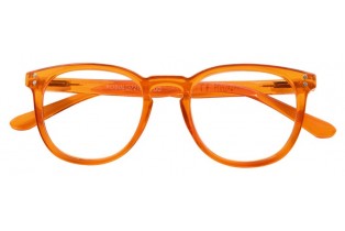 ΓΥΑΛΙΑ ΠΡΕΣΒΥΩΠΙΑΣ ΠΛΑΣΤΙΚΟ ΜΟΝΤΕΛΟ ROBIN