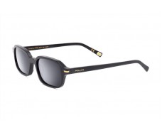 ΓΥΑΛΙΑ ΗΛΙΟΥ POLAR ΜΟΝΤΕΛΟ GOLD 3038 col. 77/F