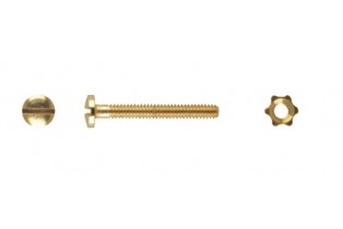 ΒΙΔΕΣ & ΠΑΞΙΜΑΔΙΑ ΓΙΑ GRIF Δ=1.2mm/Μ=11mm/ΧΡΥΣΟ (80τεμ)