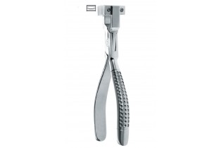 ΚΟΥΡΜΠΑΔΟΡΟΣ ΜΕΓΑΛΟΣ