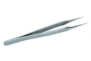 ΛΑΒΙΔΑ ΜΕ ΛΕΠΤΕΣ & ΜΥΤΕΡΕΣ ΑΚΡΕΣ