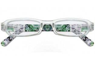 ΓΥΑΛΙΑ ΠΡΕΣΒΥΩΠΙΑΣ ΠΛΑΣΤΙΚΟ +1.00/ΛΟΥΛΟΥΔΙ ΠΡΑΣΙΝΟ ΓΥΑΛΙΑ ΠΡΕΣΒΥΩΠΙΑΣ ΠΛΑΣΤΙΚΟ +1.00/ΛΟΥΛΟΥΔΙ ΠΡΑΣΙΝΟ