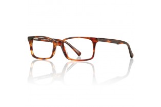 ΣΚΕΛΕΤΟΣ ΟΡΑΣΕΩΣ ΠΑΣΤΙΝΟΣ ΜΕΓΕΘΟΣ 54/ΤΑΡΤΑΡΟΥΓΑ ΣΚΕΛΕΤΟΣ ΟΡΑΣΕΩΣ ΠΑΣΤΙΝΟΣ ΜΕΓΕΘΟΣ 54/ΤΑΡΤΑΡΟΥΓΑ