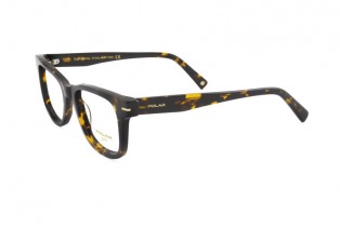 ΣΚΕΛΕΤΟΣ ΟΡΑΣΕΩΣ POLAR ΜΟΝΤΕΛΟ GOLD 54 col 428 ΣΚΕΛΕΤΟΣ ΟΡΑΣΕΩΣ POLAR ΜΟΝΤΕΛΟ GOLD 54 col 428