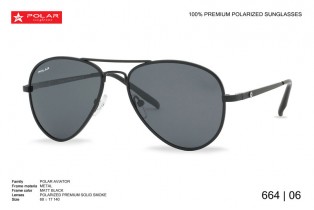 ΓΥΑΛΙΑ ΗΛΙΟΥ POLAR ΜΟΝΤΕΛΟ 664 col. 06