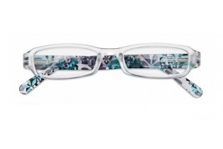 ΓΥΑΛΙΑ ΠΡΕΣΒΥΩΠΙΑΣ ΠΛΑΣΤΙΚΟ +1.00/ΛΟΥΛΟΥΔΙ ΤΥΡΚΟΥΑΖ ΓΥΑΛΙΑ ΠΡΕΣΒΥΩΠΙΑΣ ΠΛΑΣΤΙΚΟ +1.00/ΛΟΥΛΟΥΔΙ ΤΥΡΚΟΥΑΖ