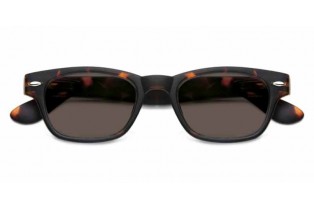 ΓΥΑΛΙΑ ΗΛΙΟΥ ΠΡΕΣΒΥΩΠΙΑΣ ΠΛΑΣΤΙΚΟ 