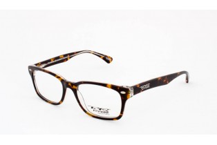 ΣΚΕΛΕΤΟΣ ΟΡΑΣΕΩΣ ΠΑΣΤΙΝΟΣ /ΤΑΡΤΑΡΟΥΓΑ ΚΑΦΕ-ΔΙΑΦΑΝΟ