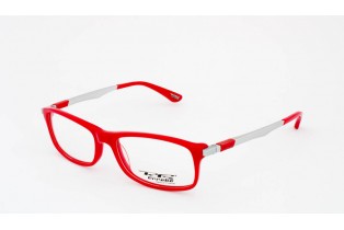 ΣΚΕΛΕΤΟΣ ΟΡΑΣΕΩΣ ΠΑΣΤΙΝΟΣ /ΚΟΚΚΙΝΟ